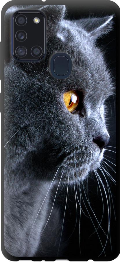 Чехол на Samsung Galaxy A21s A217F Красивый кот (3038b-1943-42517)