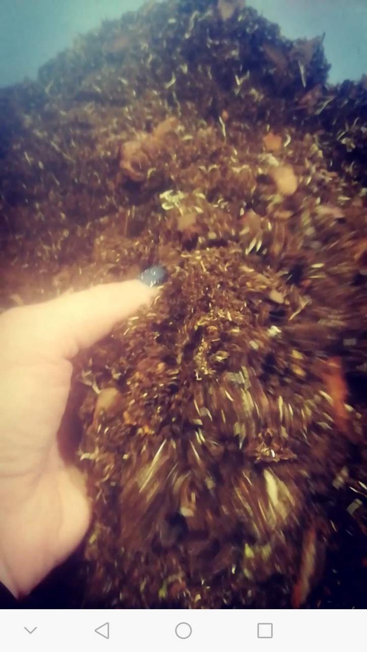 Торфосмесь Ароидные 10 л (2374507279) - фото 2 Торфосмесь Ароидные 10 л (2374507279) - фото 2