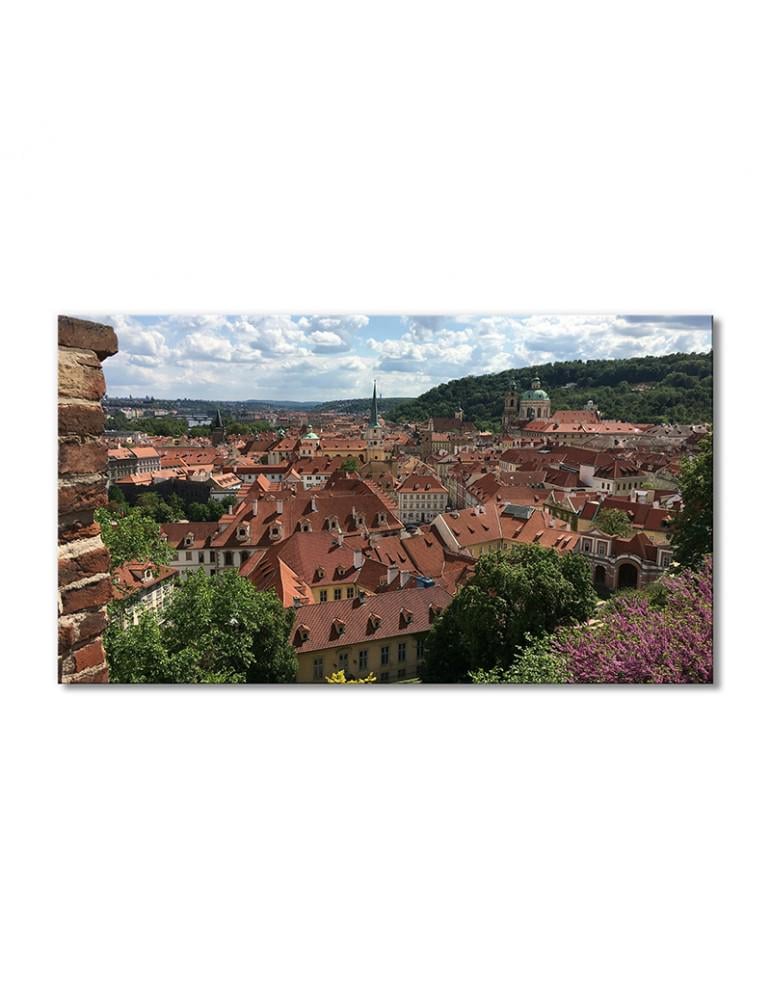 Картина модульная Прага крыши домов 1 модуль 40х60 см