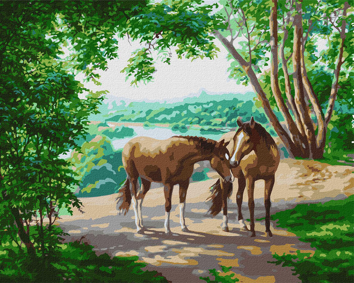 Картина по номерам Идейка На прогулке 40x50 см (KH4371)