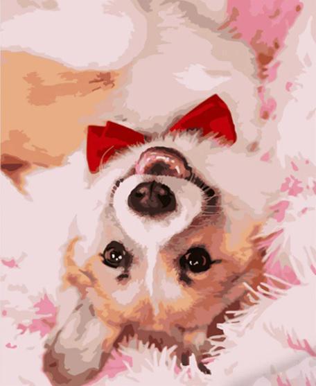 Картина по номерам Стратег Корги с галстуком hh012 40x50 см (MTT-167785)