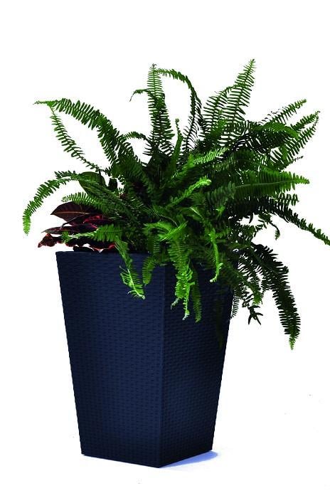 Горщик для рослин Keter Medium Rattan Planter Сірий (7290103659288)