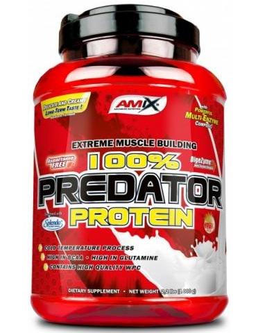 Протеин Amix 100% Predator Protein 1 кг Ваниль (1835V2986)