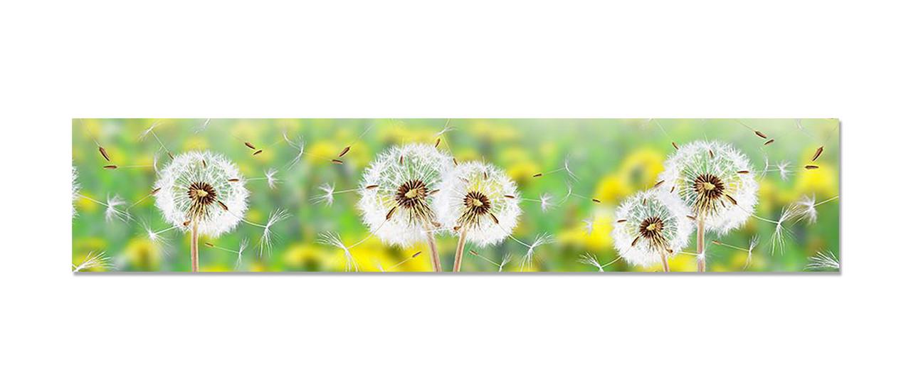 Наліпка вінілова на кухню Zatarga Кульбабки що облітають 600х3000 мм (1271806392)