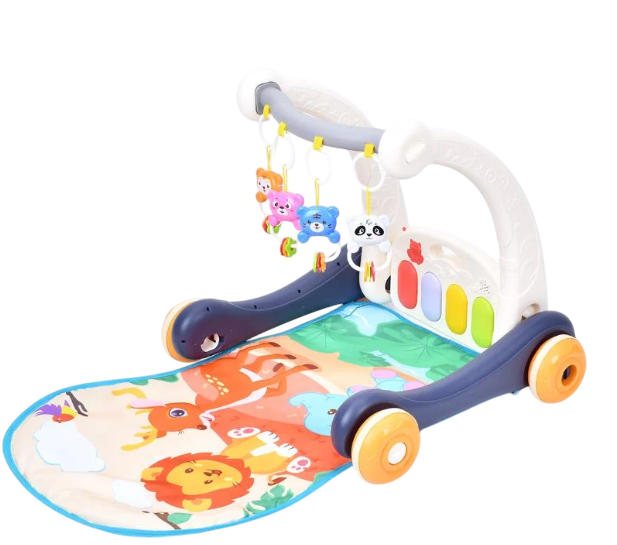 Каталка-ходунки HOME 977-979