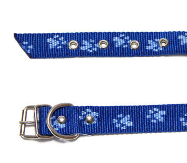Ошейник для животных капроновый одинарный 20 мм х 50 см Синий/Голубой (2296441695) - фото 1