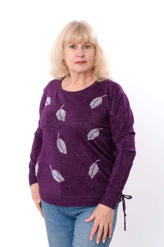 Джемпер жіночий батал Носи Своє р. 54/56 Баклажанний (18098) - фото 1 Джемпер жіночий батал Носи Своє р. 54/56 Баклажанний (18098) - фото 1