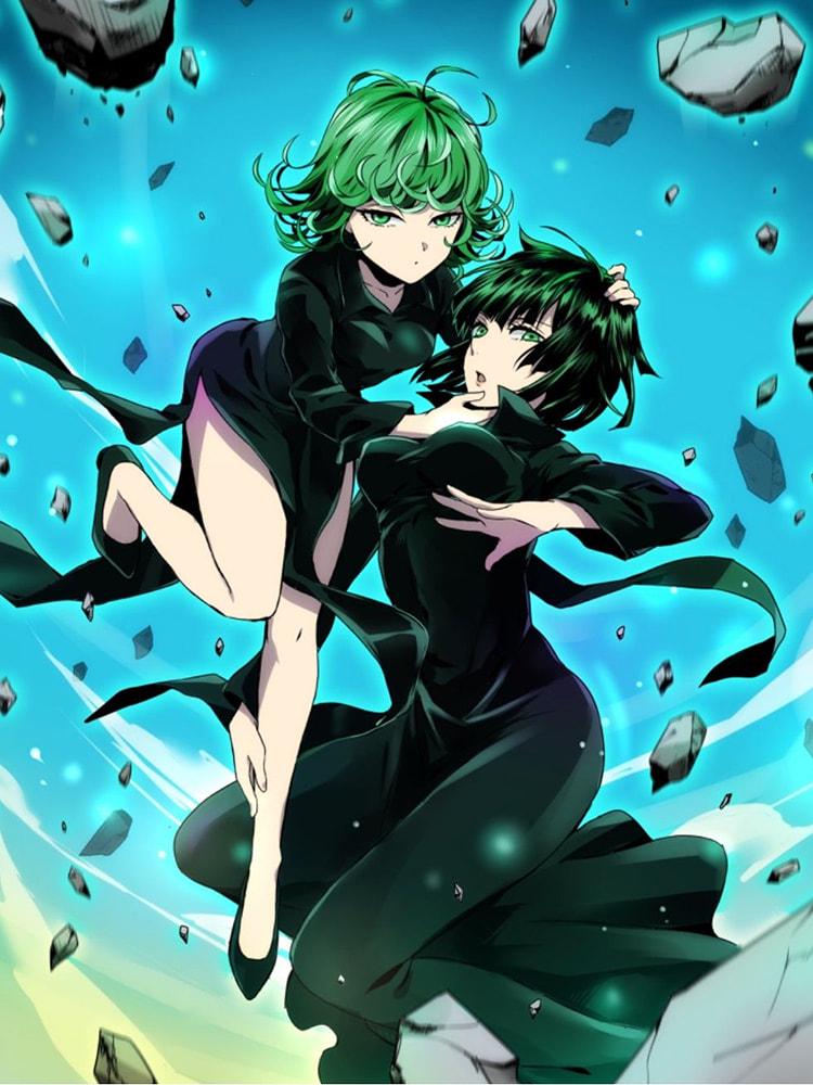 Алмазная мозаика SHLab Аниме Tatsumaki and Fubuk SH-32648 30x40 см (32648)