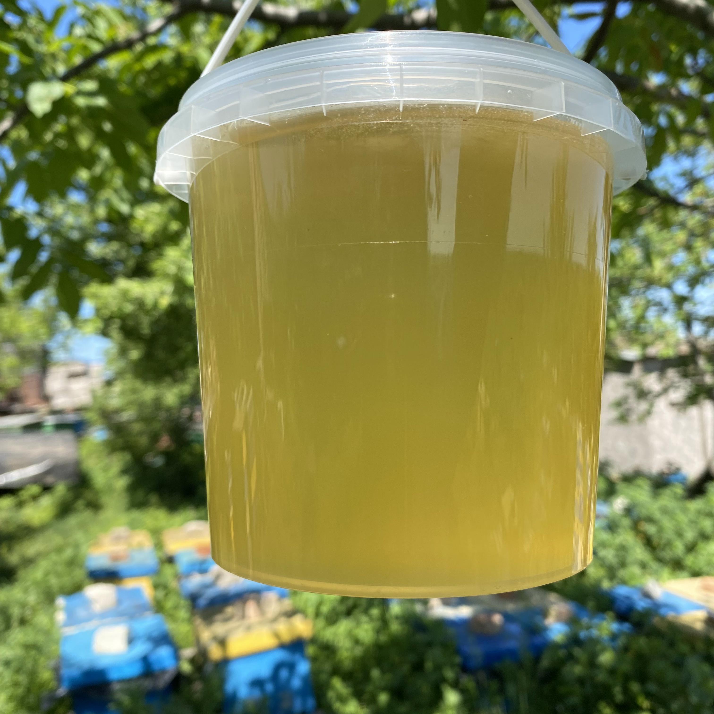 Мед Акация 1 л (2234607076) Мед Акация 1 л (2234607076)