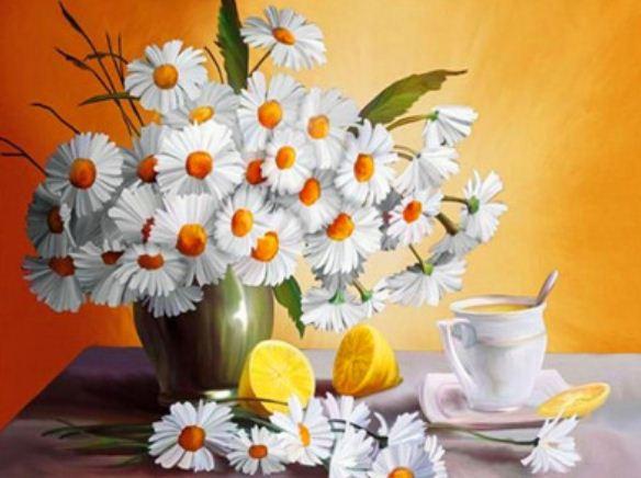 Картина по номерам Josef Otten Цветы Ромашки 40х50 см в термопакете (3213RA_O-mt)