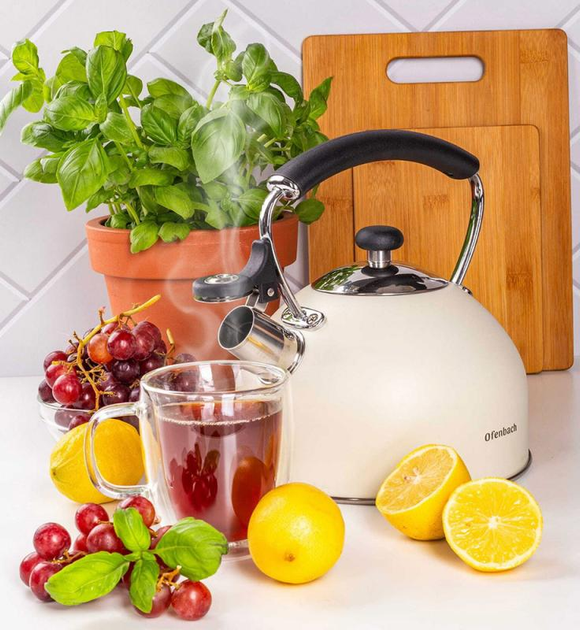 Чайник Ofenbach нержавіюча сталь зі свистком 2200 мл Бежевий (100325) - фото 3 Чайник Ofenbach нержавіюча сталь зі свистком 2200 мл Бежевий (100325) - фото 3