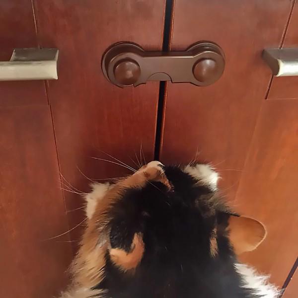 Блокиратор-крючок Sweets Home SH15-BR Коричневый - фото 2 Блокиратор-крючок Sweets Home SH15-BR Коричневый - фото 2