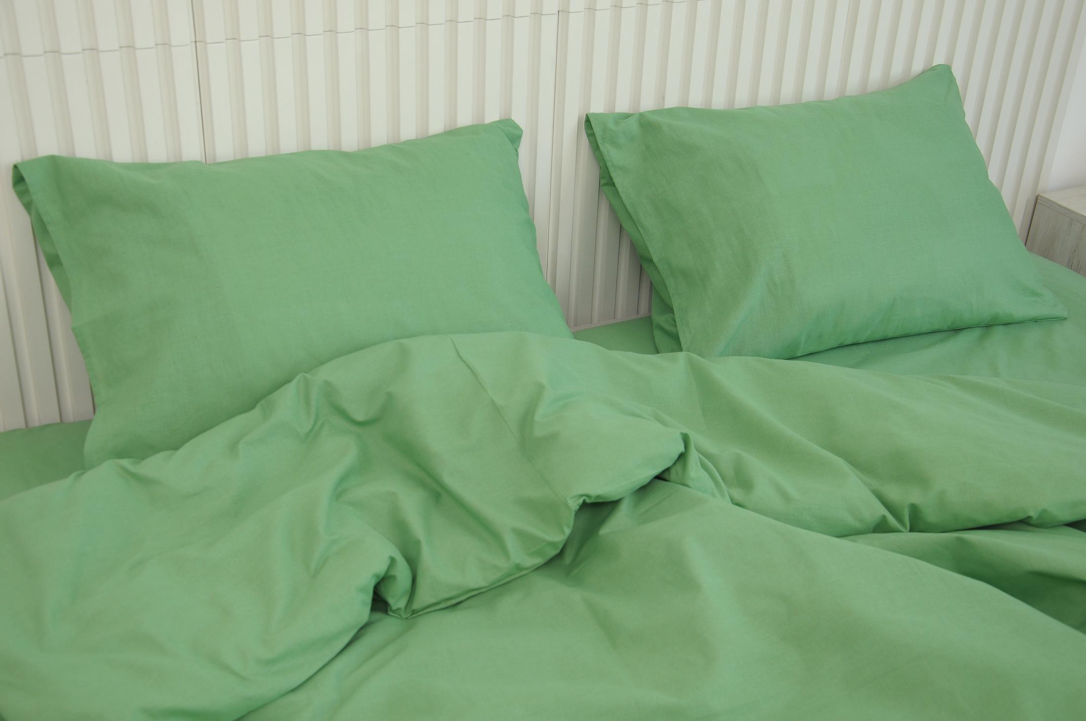 Комплект постельного белья евро Amore Glux-1052 бязь Фисташковый (KPB-Ae-Glux-1052(70x70)_) - фото 2 Комплект постельного белья евро Amore Glux-1052 бязь Фисташковый (KPB-Ae-Glux-1052(70x70)_) - фото 2