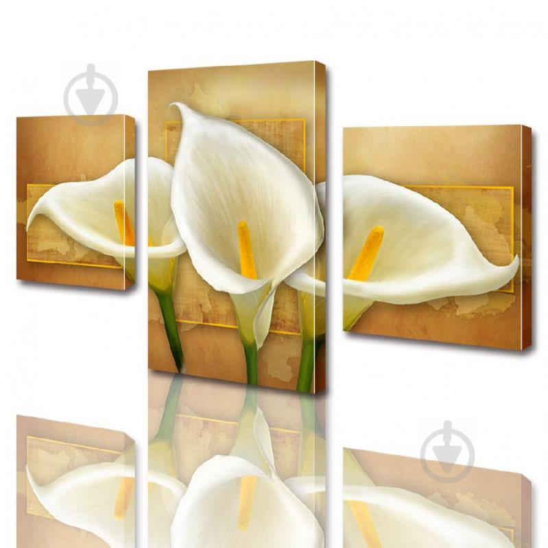 Модульна картина ArtStar квіти Калли ADFL0001 розмір 120 х 180 см