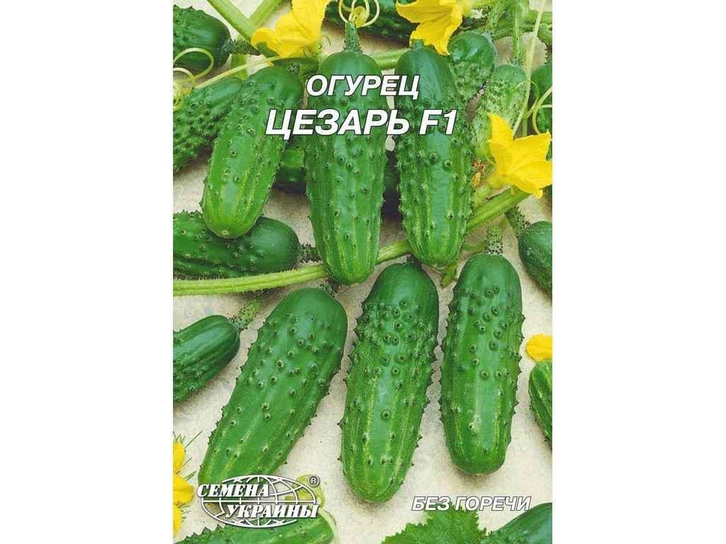 Семена Огурец Насіння України Гигант Цезарь F1 гибрид 4 г 10 пачек (71527)