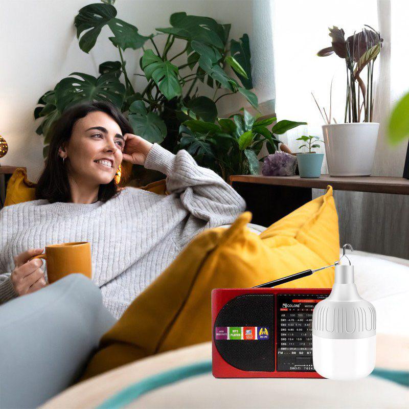 Ліхтар-радіо акумуляторний з MP3/акумуляторна лампа на гачку - фото 3 Ліхтар-радіо акумуляторний з MP3/акумуляторна лампа на гачку - фото 3