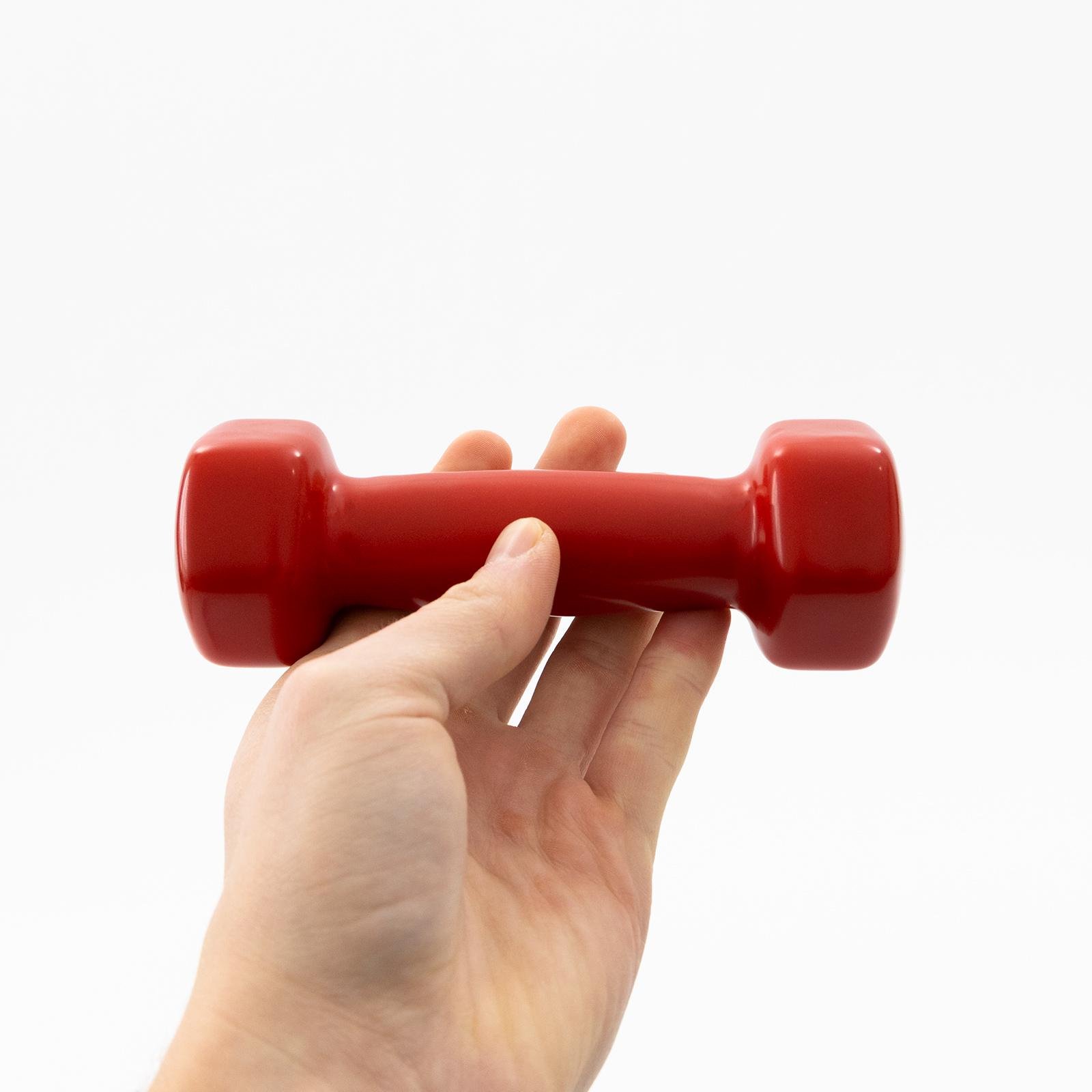 Гантель виниловая цельная OSPORT Profi 1 кг Красный (FI-0105-2) - фото 4 Гантель виниловая цельная OSPORT Profi 1 кг Красный (FI-0105-2) - фото 4