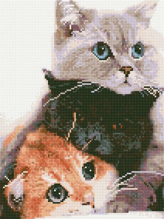 Алмазная мозаика Rainbow Art Три кошки 30x40 см (EJ1234)