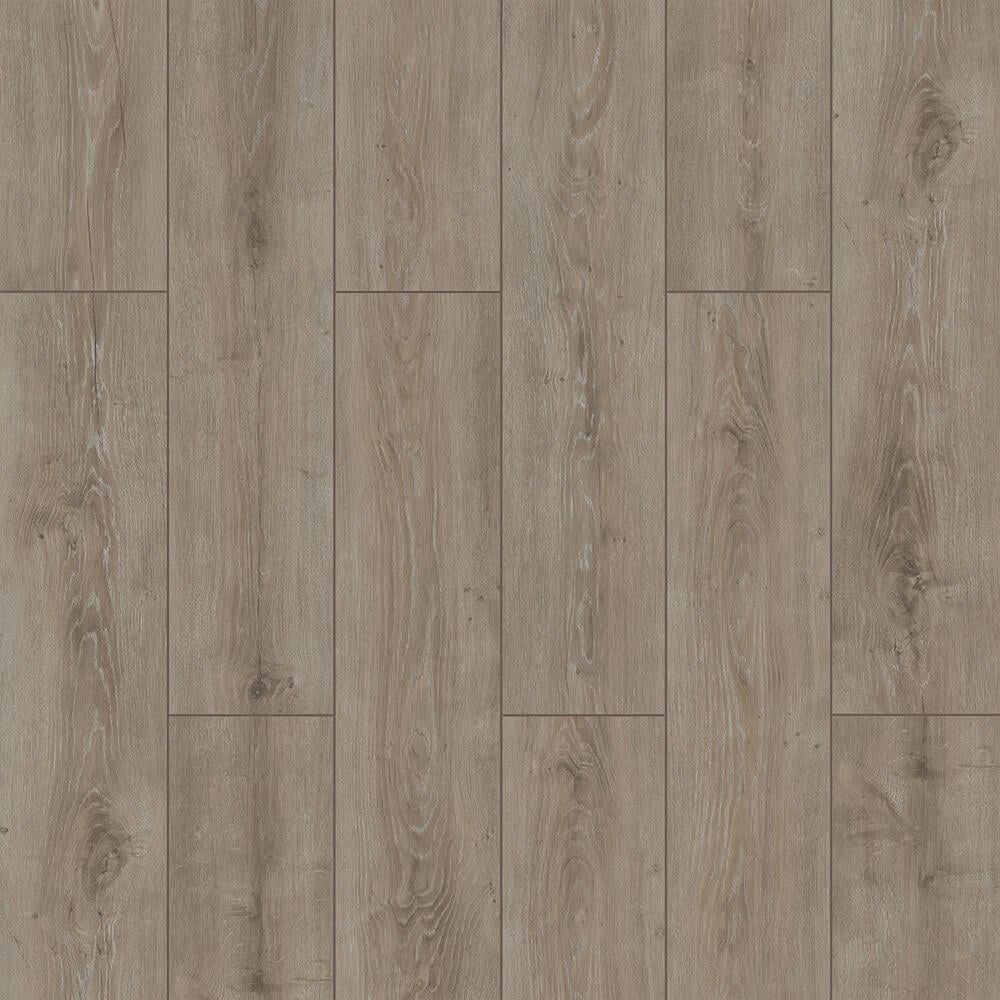 Ламінат Kastamonu SW007 Wings 4V Parrot