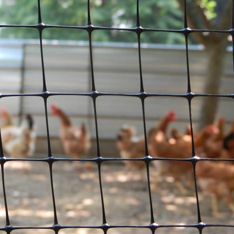 Сетка защитная от птиц Пташка 0,5x100 м ячейка 12х14 мм Зеленый (24757198) - фото 7 Сетка защитная от птиц Пташка 0,5x100 м ячейка 12х14 мм Зеленый (24757198) - фото 7