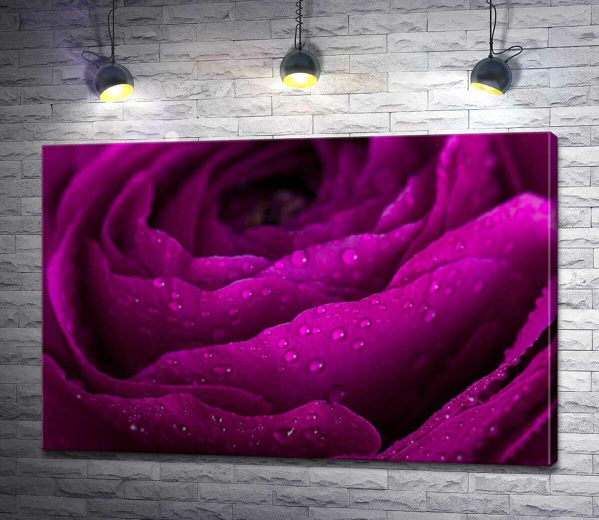 Картина ArtPoster Пышная роза цвета бордовой страсти 100x67 см Модуль №1 (002817) Картина ArtPoster Пышная роза цвета бордовой страсти 100x67 см Модуль №1 (002817)
