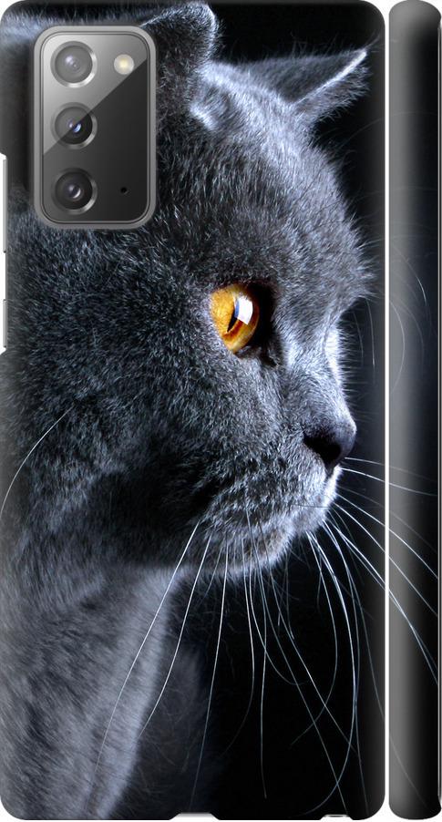 Чохол на Samsung Galaxy Note 20 Гарний кіт (3038m-2036-42517)