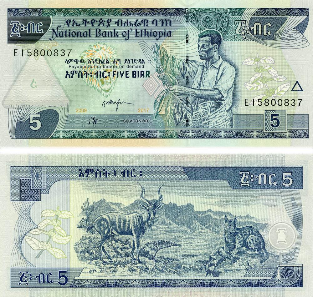 Колекційна банкнота Ефіопія 5 бир 2009-2017 UNC P47 (Б12615)