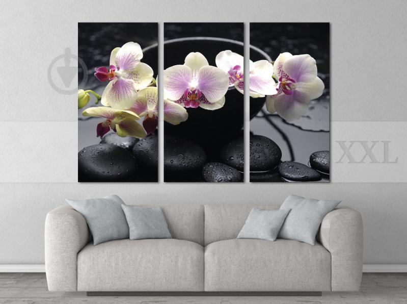 Модульна картина Poster-land Камені Квіти Art-100_XXL