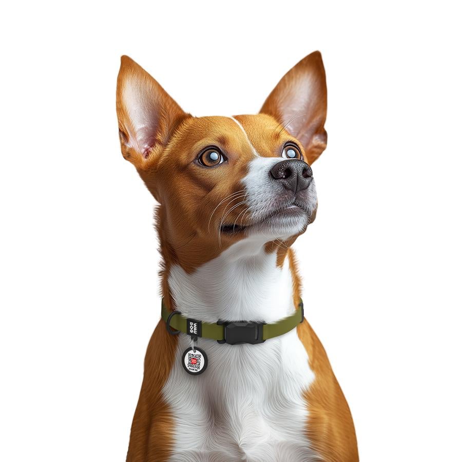 Нашийник для собак водостійкий Waudog Magnet магнітна пряжка-фастекс S 15 мм 26-35 см Olive (279431) - фото 4 Нашийник для собак водостійкий Waudog Magnet магнітна пряжка-фастекс S 15 мм 26-35 см Olive (279431) - фото 4