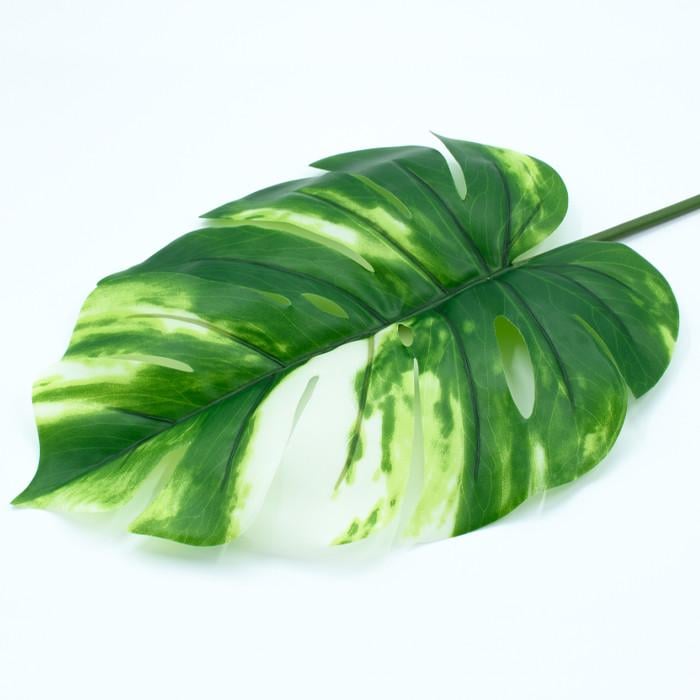 Штучне листя Engard Monstera Alba 71 см (TW-53) - фото 2