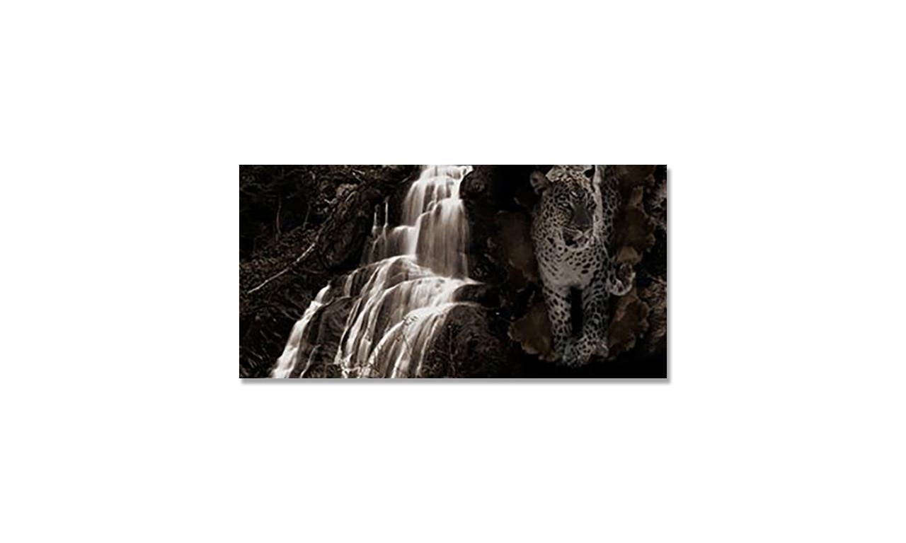 Наклейка вінілова на стіл Zatarga Леопард та Водоспад 600х1200 мм (1289776216) Наклейка вінілова на стіл Zatarga Леопард та Водоспад 600х1200 мм (1289776216)