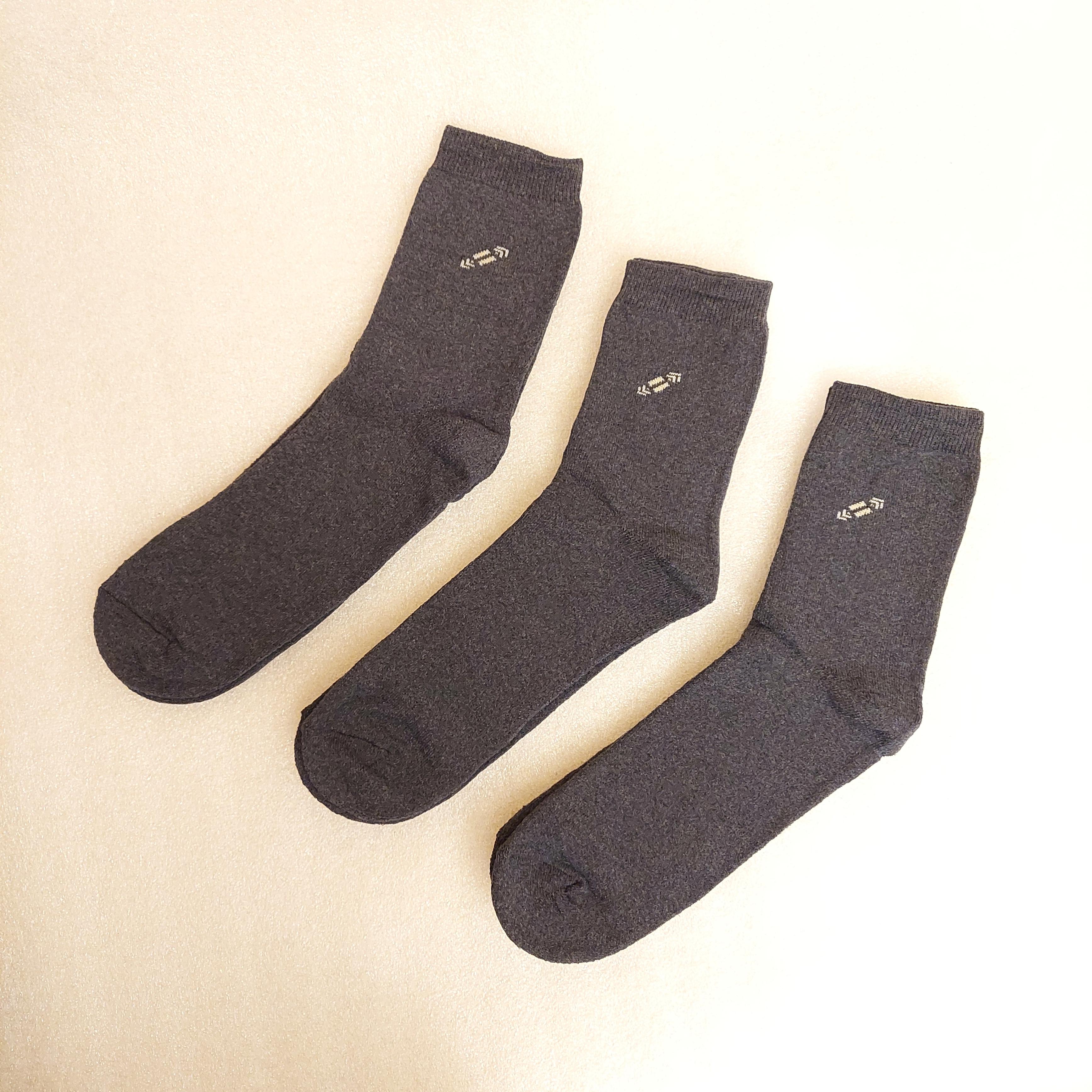 Шкарпетки чоловічі зимові махрові Житомир р. 46 10 пар Синій (0478) - фото 2