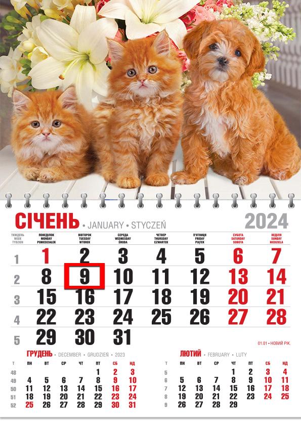 Календар 2024 офісний Економ Руді моменти Календар 2024 офісний Економ Руді моменти
