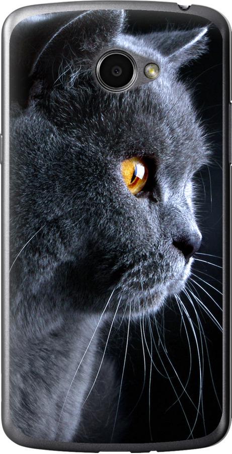 Чехол на LG K5 X220 Красивый кот (3038u-457-42517)