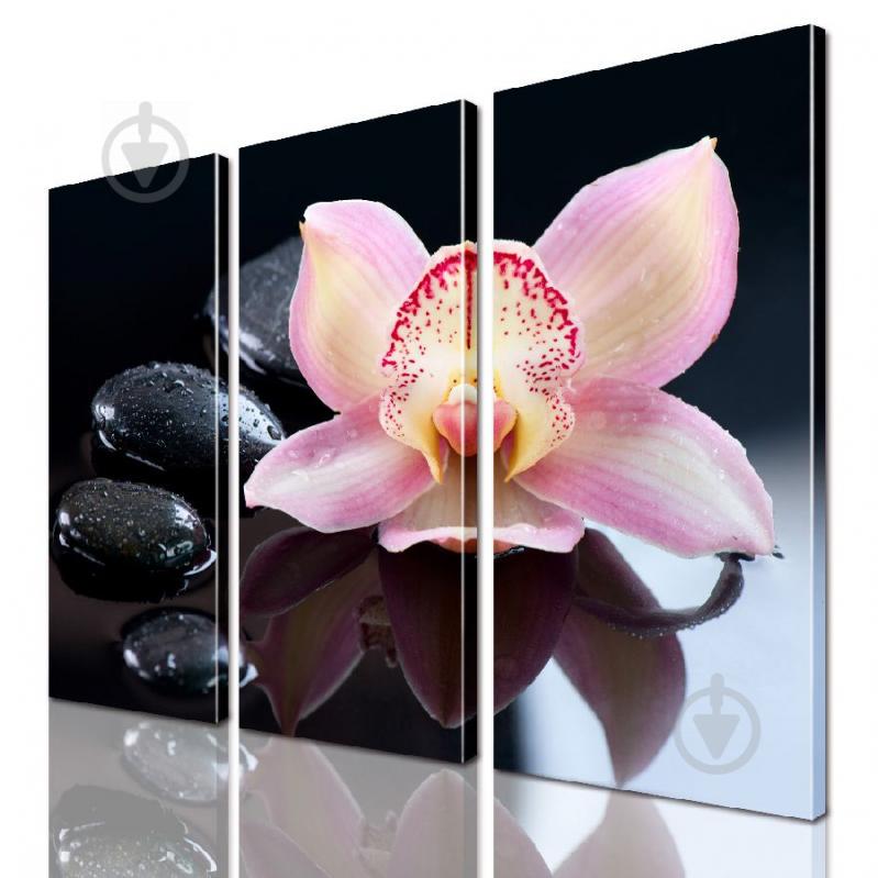 Модульная картина ArtStar цветы ADFL0160 размер 95 х 120 см