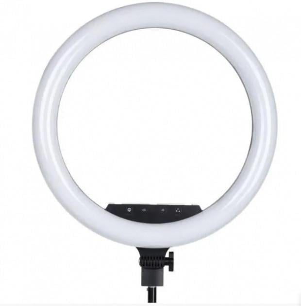 Светодиодная кольцевая лампа с держателем для телефона RGB MJ 26 см и штатив 2,1 м (1751255802)