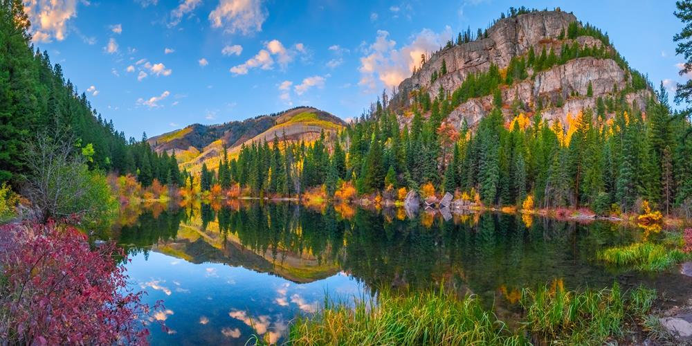Картина на холсте Природа 50х70 см (N431)