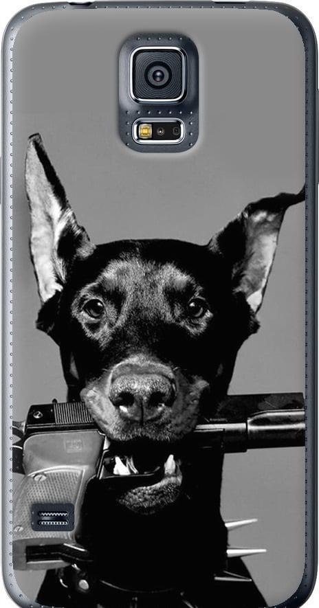 Чехол на Samsung Galaxy S5 Duos SM G900FD Доберман (2745u-62-42517)