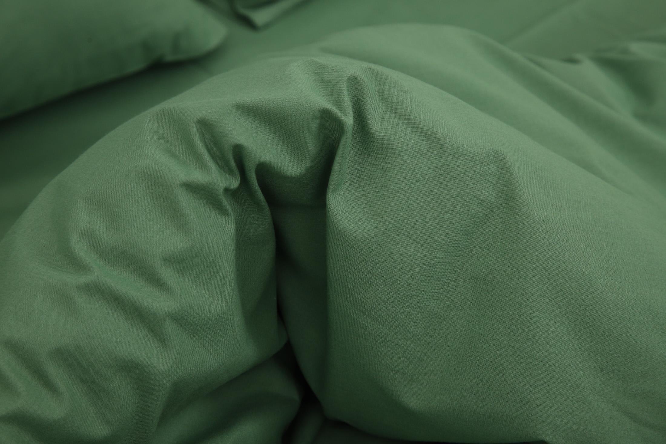 Комплект постельного белья евро Amore 6318 ранфорс Зеленый (KPB-Ae-R-6318(50x70)_) - фото 4 Комплект постельного белья евро Amore 6318 ранфорс Зеленый (KPB-Ae-R-6318(50x70)_) - фото 4