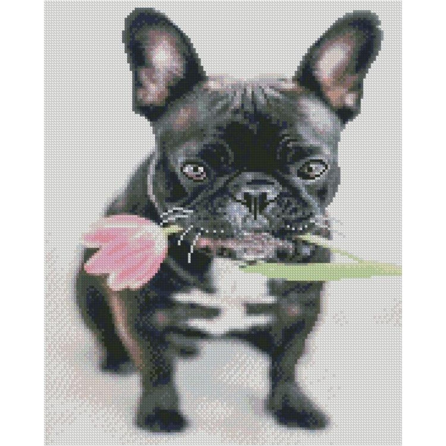 Алмазная мозаика Strateg Премиум Французский бульдог 40x50 см (FA40898)