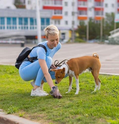 Пакети гігієнічні для прибирання екскрементів собак із чохлом 50 роликів 1000 шт. - фото 10
