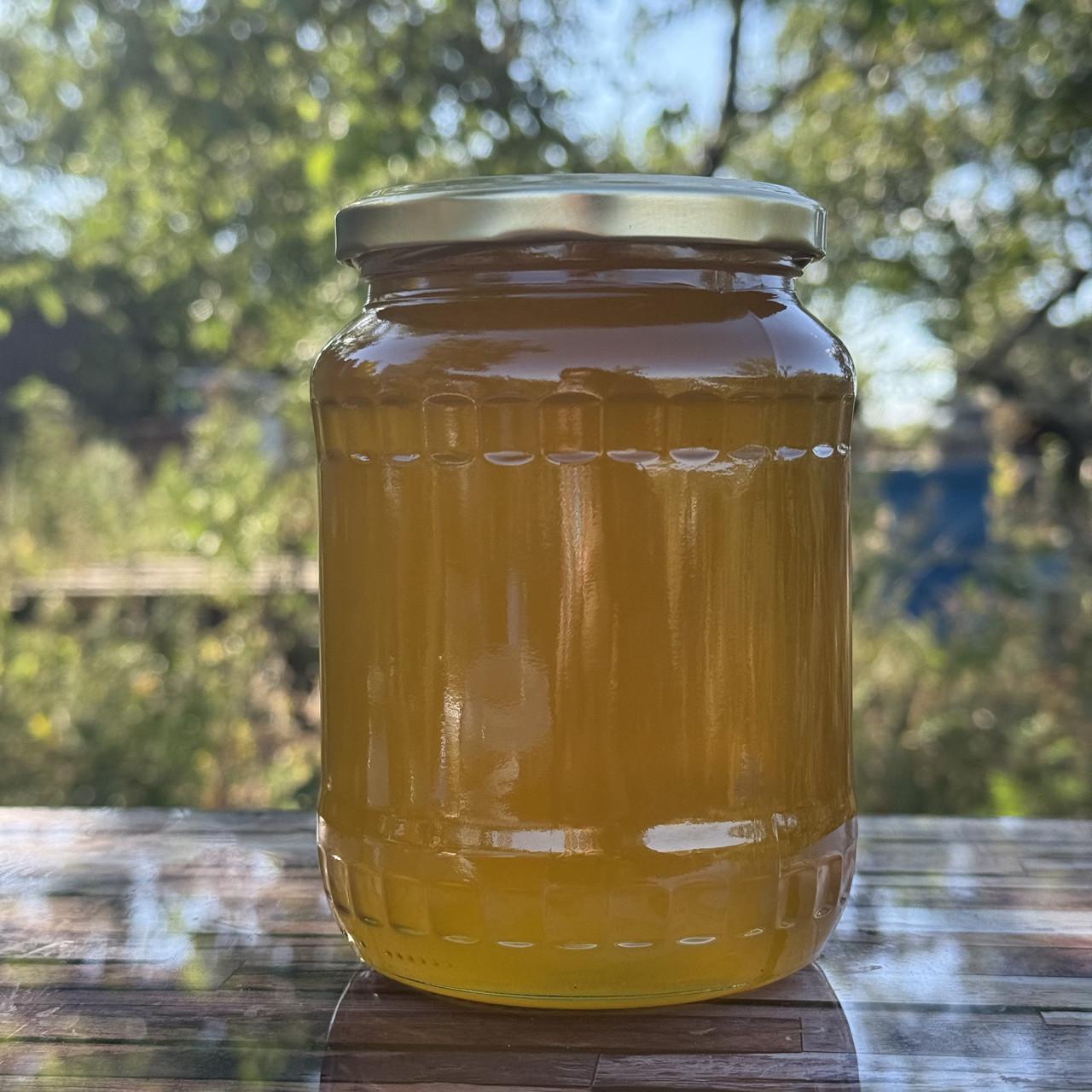 Мед Разнотравье светлое из кочевой пасеки 0,7 л/950 г 2025 г. (2728026413)