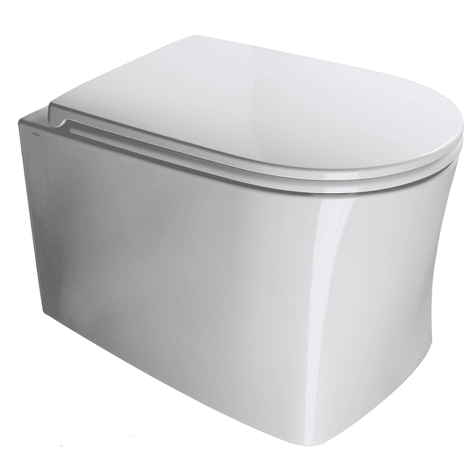 Унитаз подвесной AXA DP 8401001 безободковый без сиденья (113060) Унитаз подвесной AXA DP 8401001 безободковый без сиденья (113060)