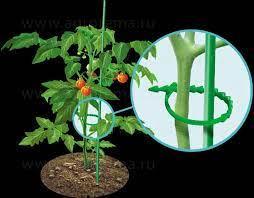 Хомут садовий для підв'язки рослин 17,5х0,8 см (1561904233) - фото 4