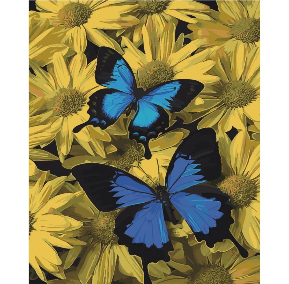 Картина по номерам Strateg Пара бабочек 40x50 см (SY6460)