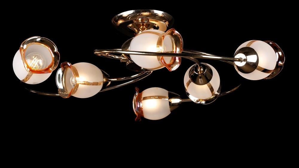 Люстра с плафонами Ray L80980/6 FGD (IR005909)