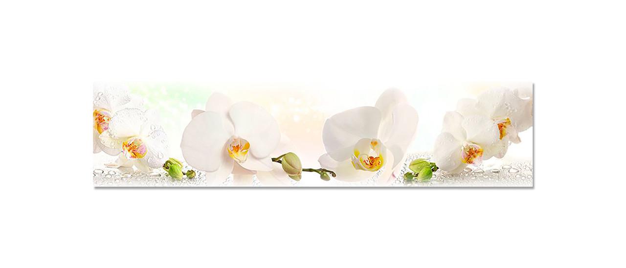 Кухонный фартук Белая орхидея 03 из самоклеющейся виниловой пленки 60х250 см Бежевый Кухонный фартук Белая орхидея 03 из самоклеющейся виниловой пленки 60х250 см Бежевый