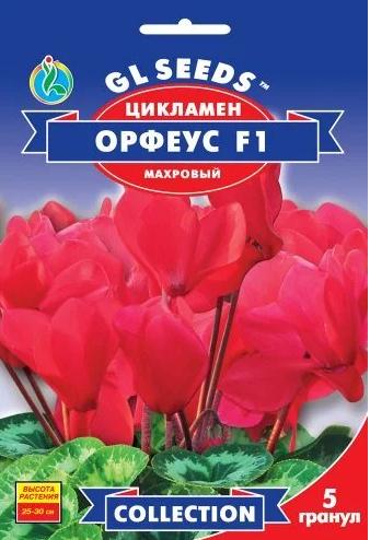 Цикламен Орфеус F1 GL Seeds Collection 5 шт. (RS-01161)