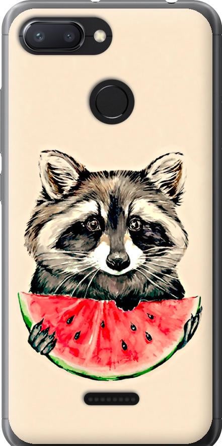 Чехол на Xiaomi Redmi 6 Енотик с арбузом (4605t-1521-42517)