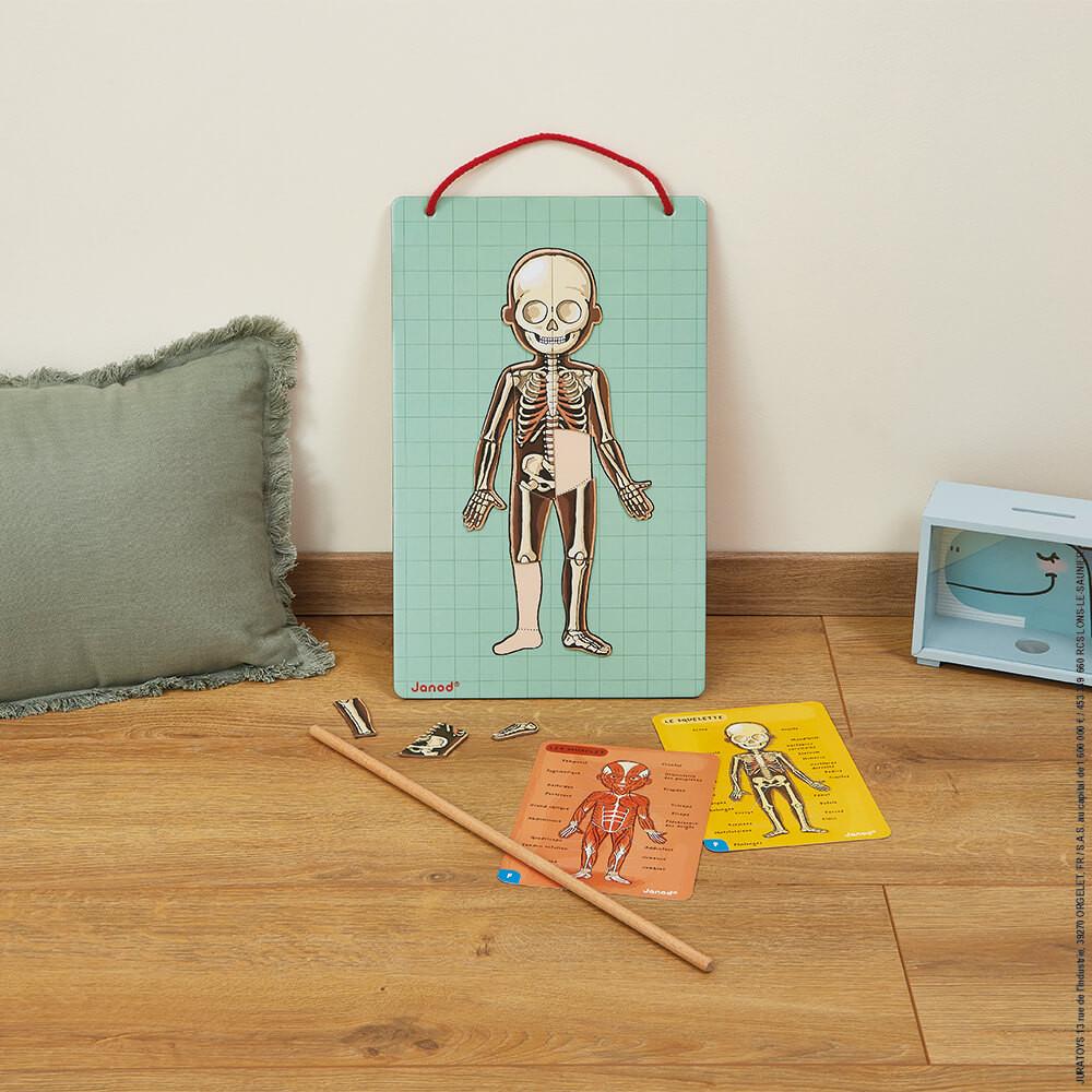Игровой магнитный набор Janod Тело человека (J05491) - фото 8 Игровой магнитный набор Janod Тело человека (J05491) - фото 8